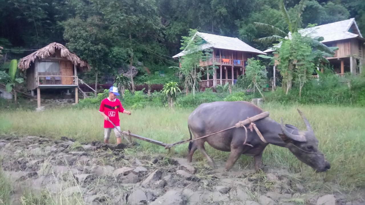 Little Mai Chau Home Stay Buitenkant foto