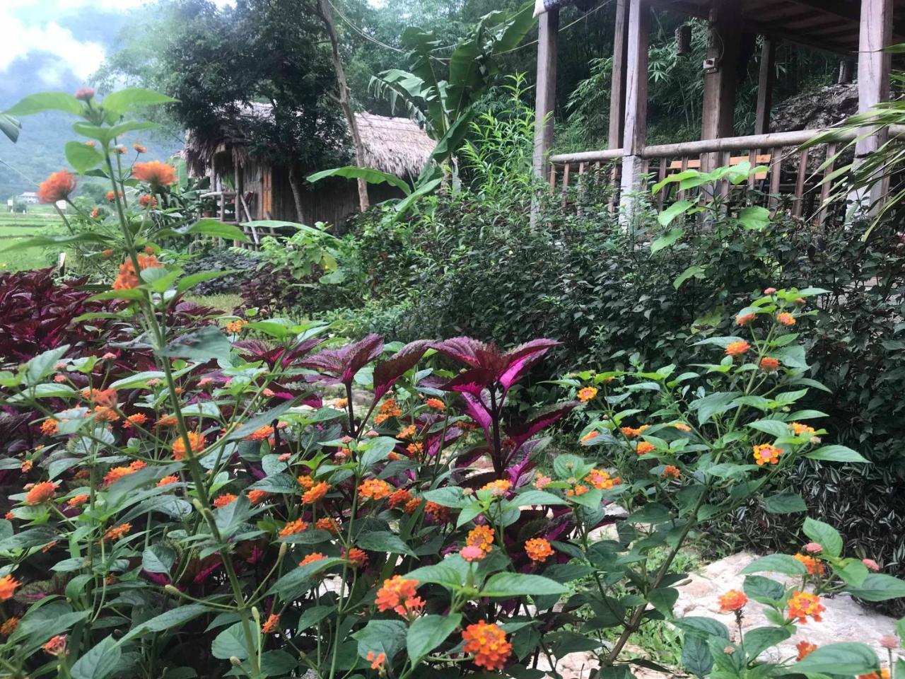 Little Mai Chau Home Stay Buitenkant foto