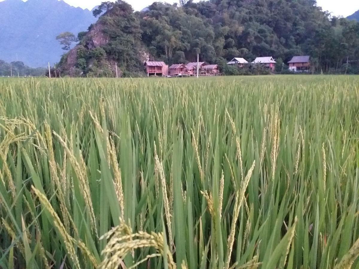 Little Mai Chau Home Stay Buitenkant foto